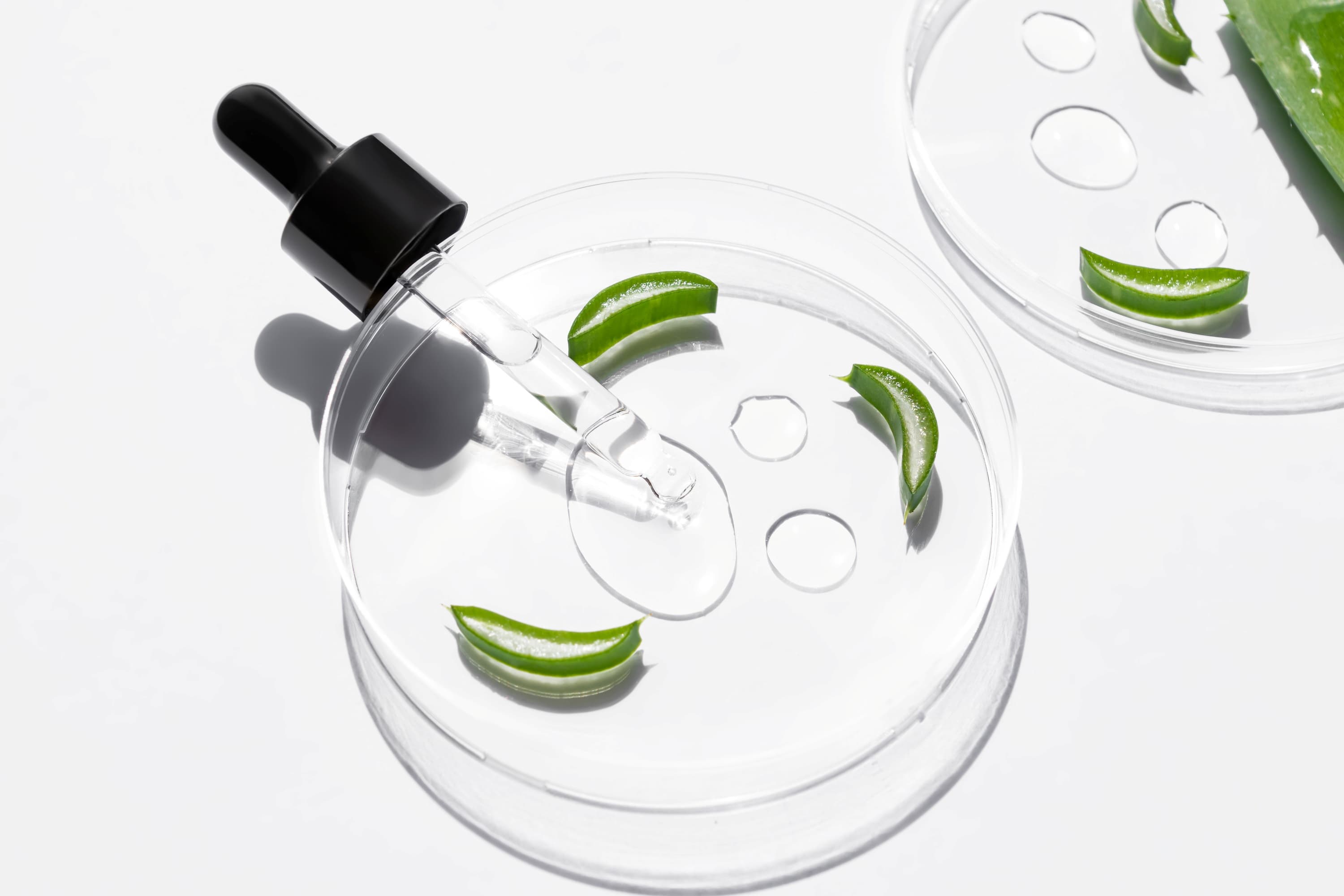Berare formulation — dropper and aloe vera